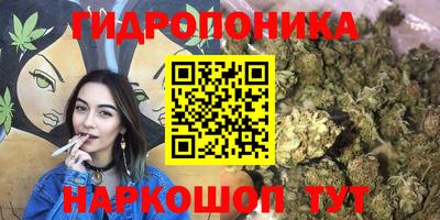 jwh Беслан