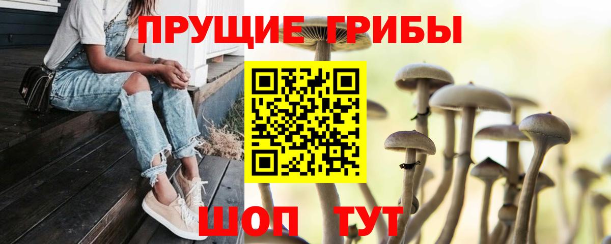 Псилоцибиновые грибы Cubensis Кировск