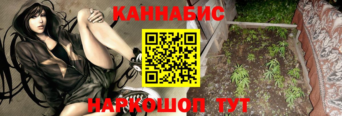 Бошки Шишки индика Кировск